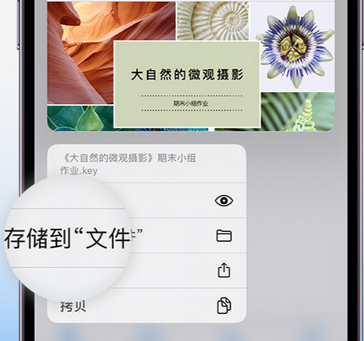 赤城apple维修中心分享iPhone文件应用中存储和找到下载文件