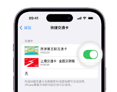 赤城apple维修点分享iPhone上更换Apple Pay快捷交通卡手绘卡面 