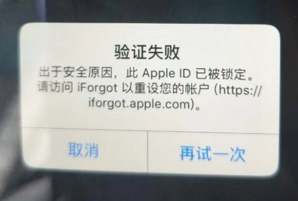 赤城iPhone维修分享iPhone上正常登录或使用AppleID怎么办 