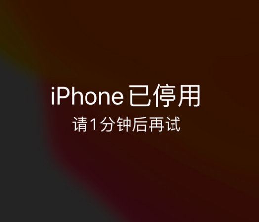 赤城苹果手机维修分享:iPhone 显示“不可用”或“已停用”怎么办？还能保留数据吗？ 