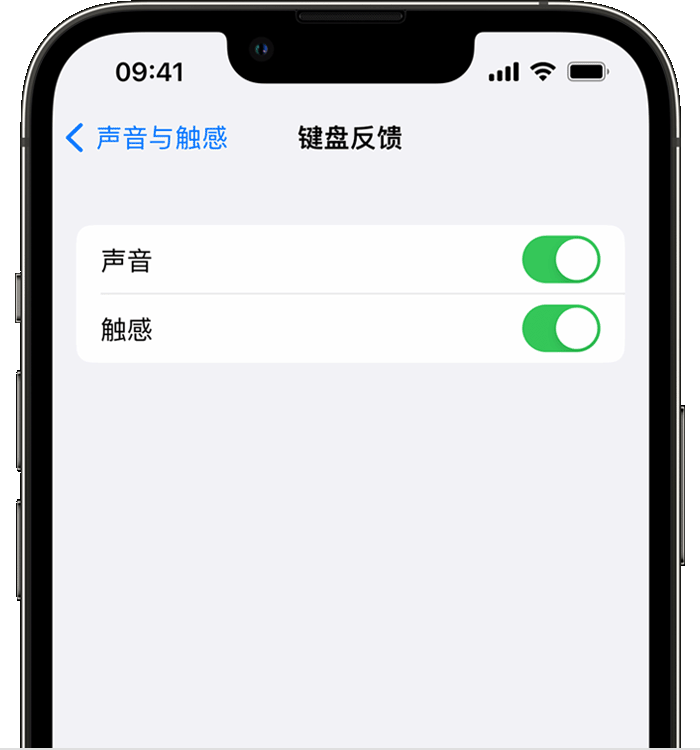 赤城苹果14维修店分享如何在 iPhone 14 机型中使用触感键盘 