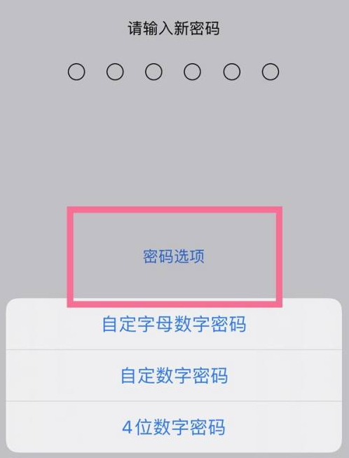 赤城苹果14维修分享iPhone 14plus设置密码的方法 