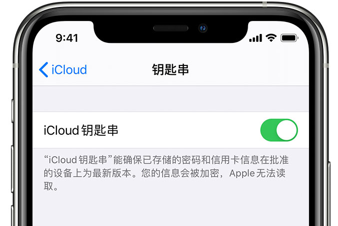 赤城苹果手机维修分享在 iPhone 上开启 iCloud 钥匙串之后会储存哪些信息 