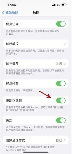 赤城苹果手机维修分享iPhone手机如何设置摇一摇删除文字 